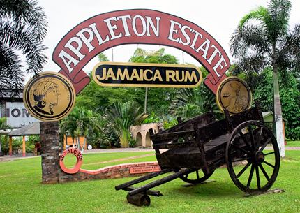 Black River Safari Y.S. Falls & Appleton Rum Estate